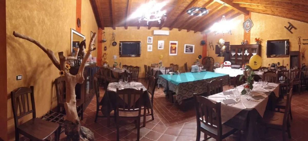 Altro in vendita a Troina - foto 9