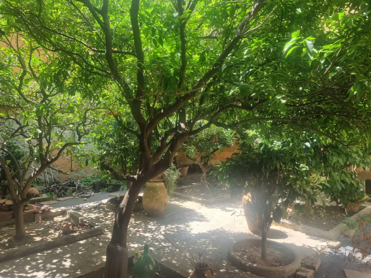 Appartamento in vendita a Cagliari, San Benedetto - foto 2