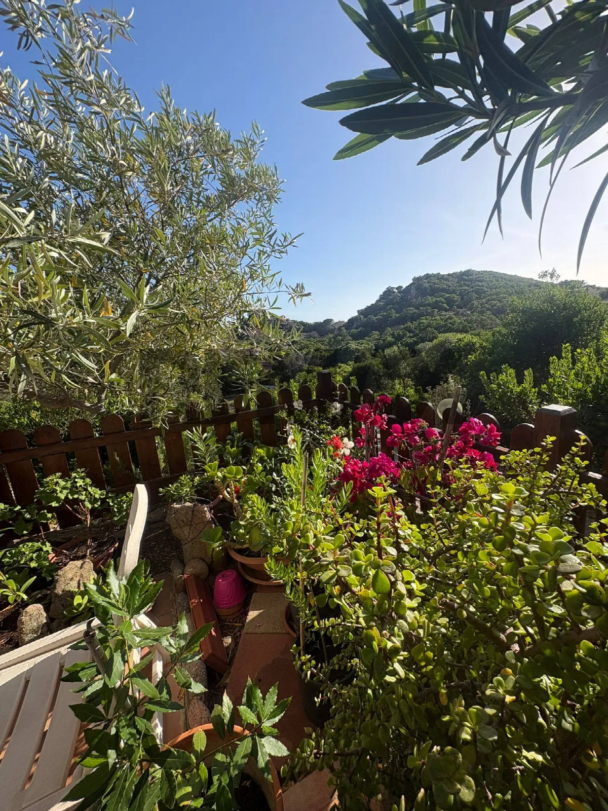 Appartamento in vendita a Trinità d'Agultu e Vignola, Costa Paradiso - foto 6