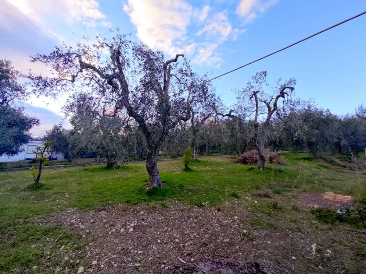 Appartamento in vendita a Mattinata - foto 10