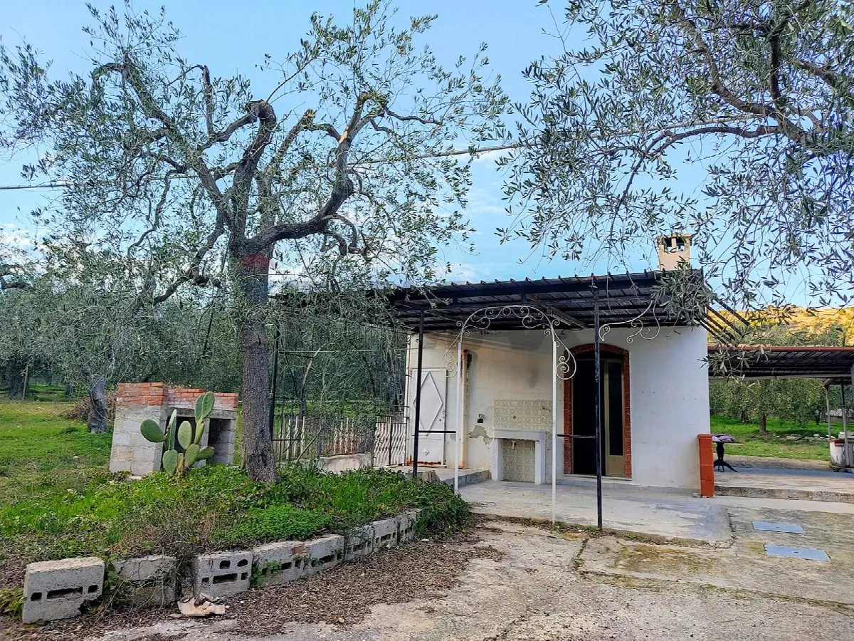 Appartamento in vendita a Mattinata - foto 2