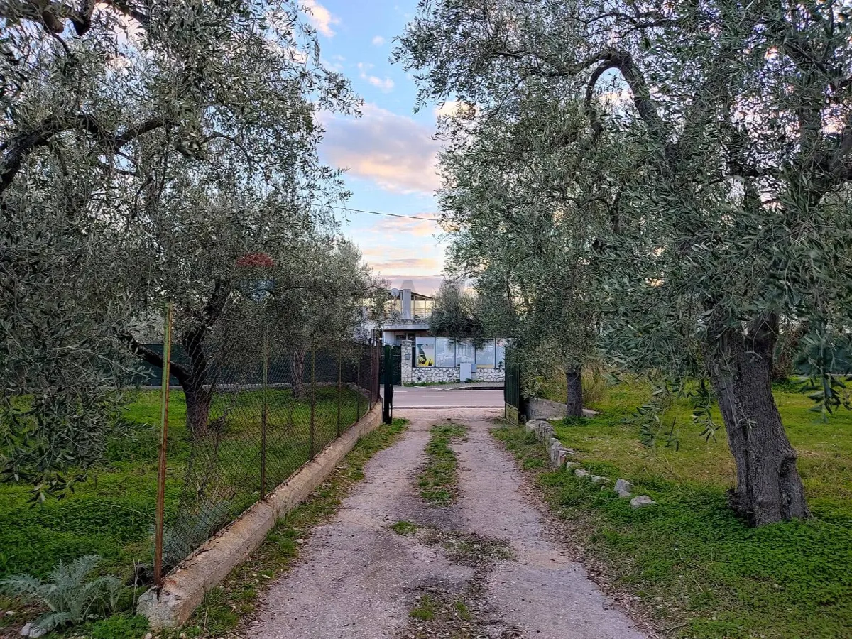 Appartamento in vendita a Mattinata - foto 9