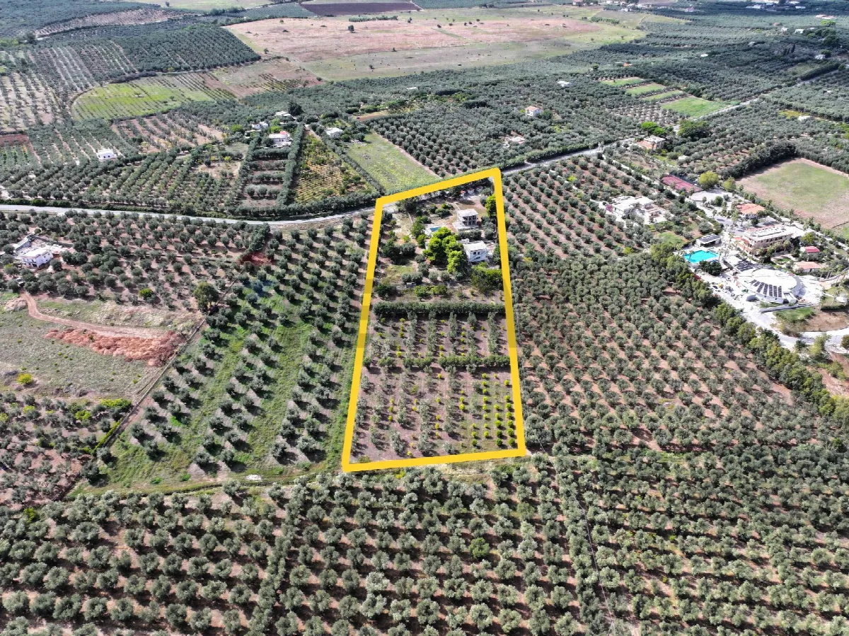 Altro in vendita a Rodi Garganico - foto 1