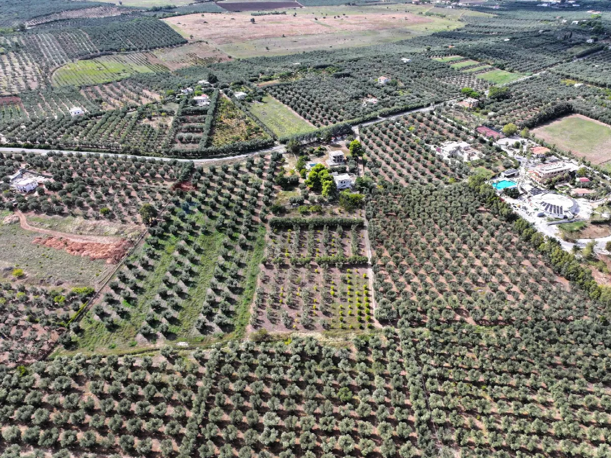 Altro in vendita a Rodi Garganico - foto 2