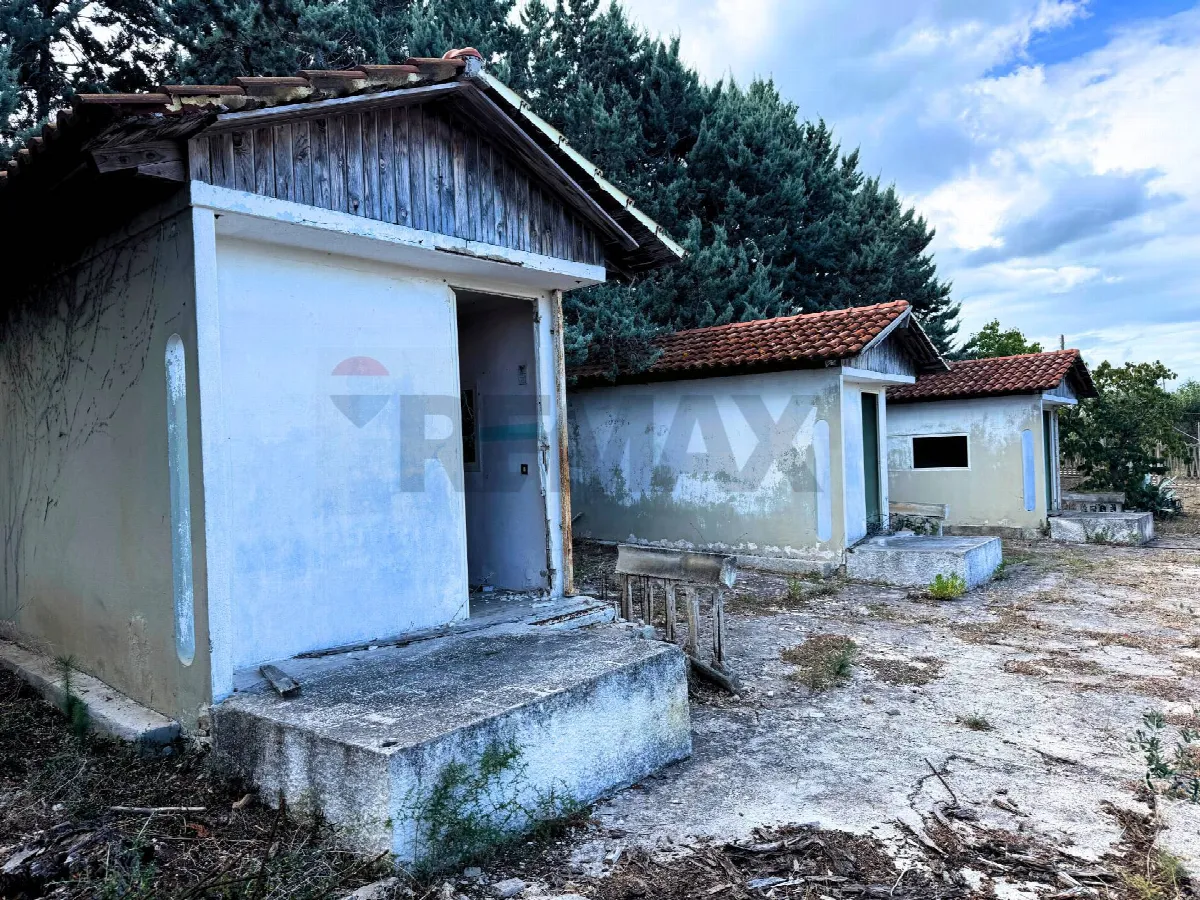 Altro in vendita a Rodi Garganico - foto 7