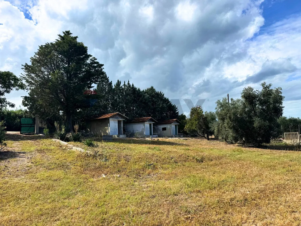 Altro in vendita a Rodi Garganico - foto 8