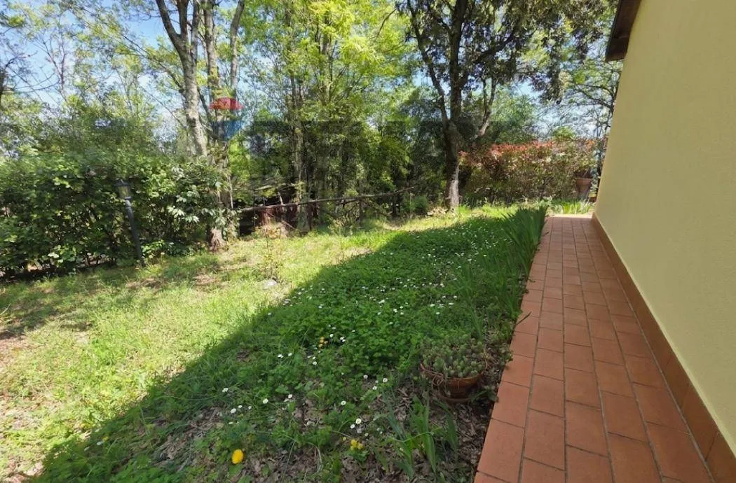 Appartamento in vendita a Monteverdi Marittimo - foto 4