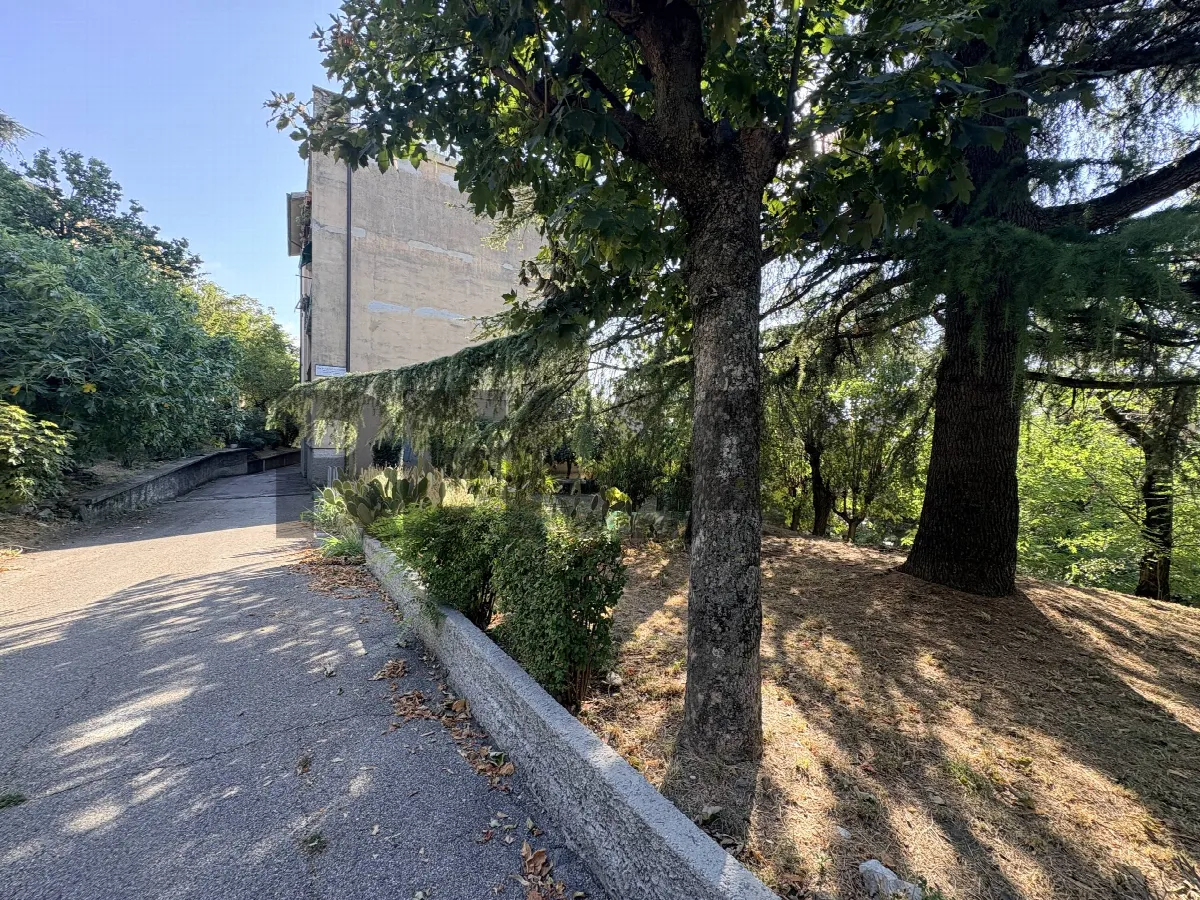 Appartamento in vendita a Trieste, Borgo San Sergio - foto 1