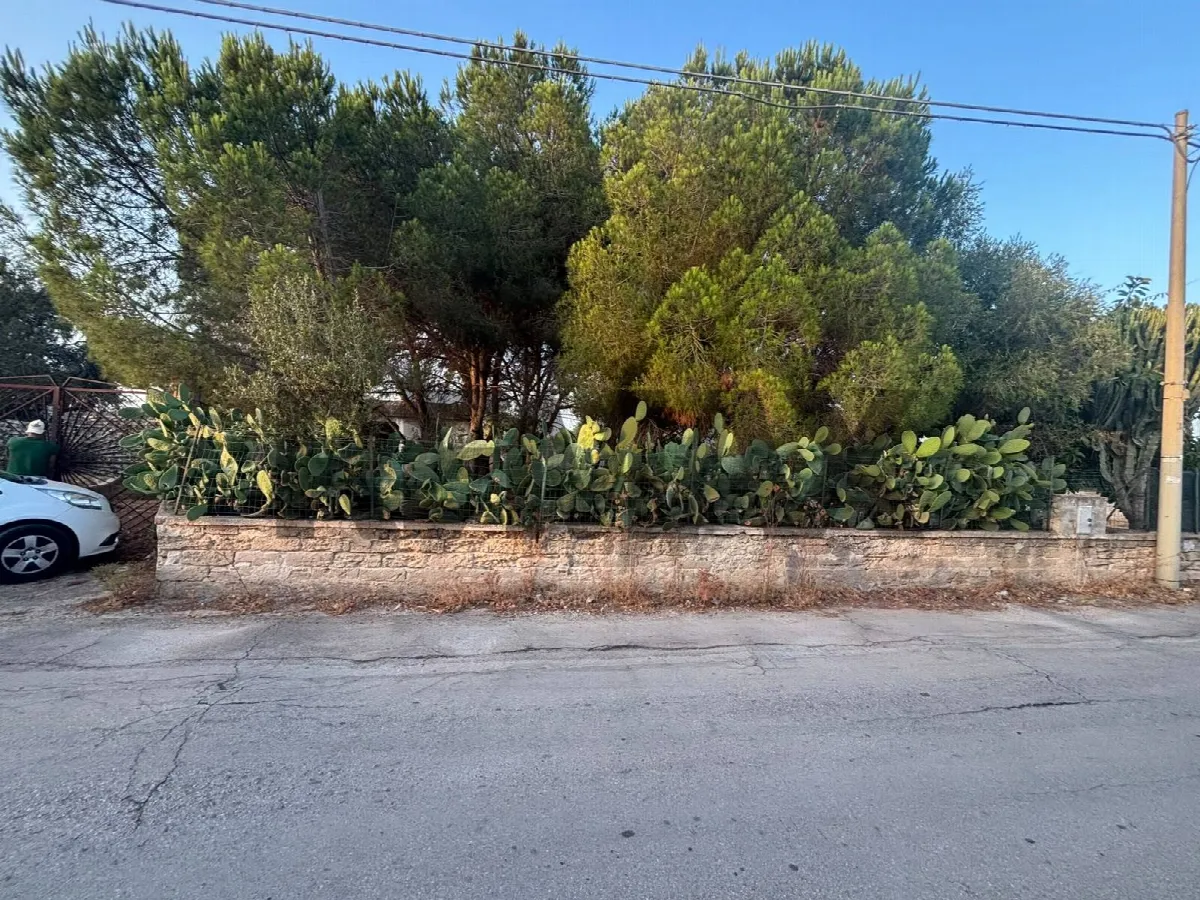 Altro in vendita a Siracusa, Fontane Bianche - foto 5