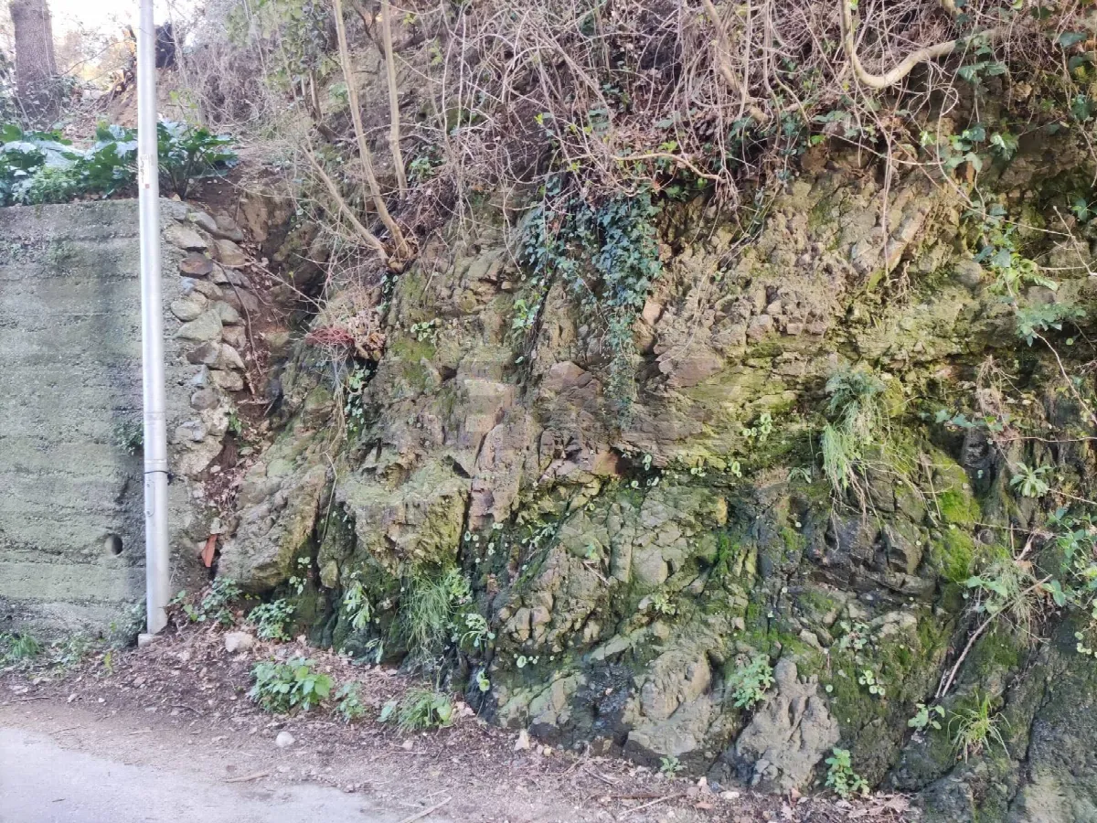 Altro in vendita a Savona, Villetta - foto 2