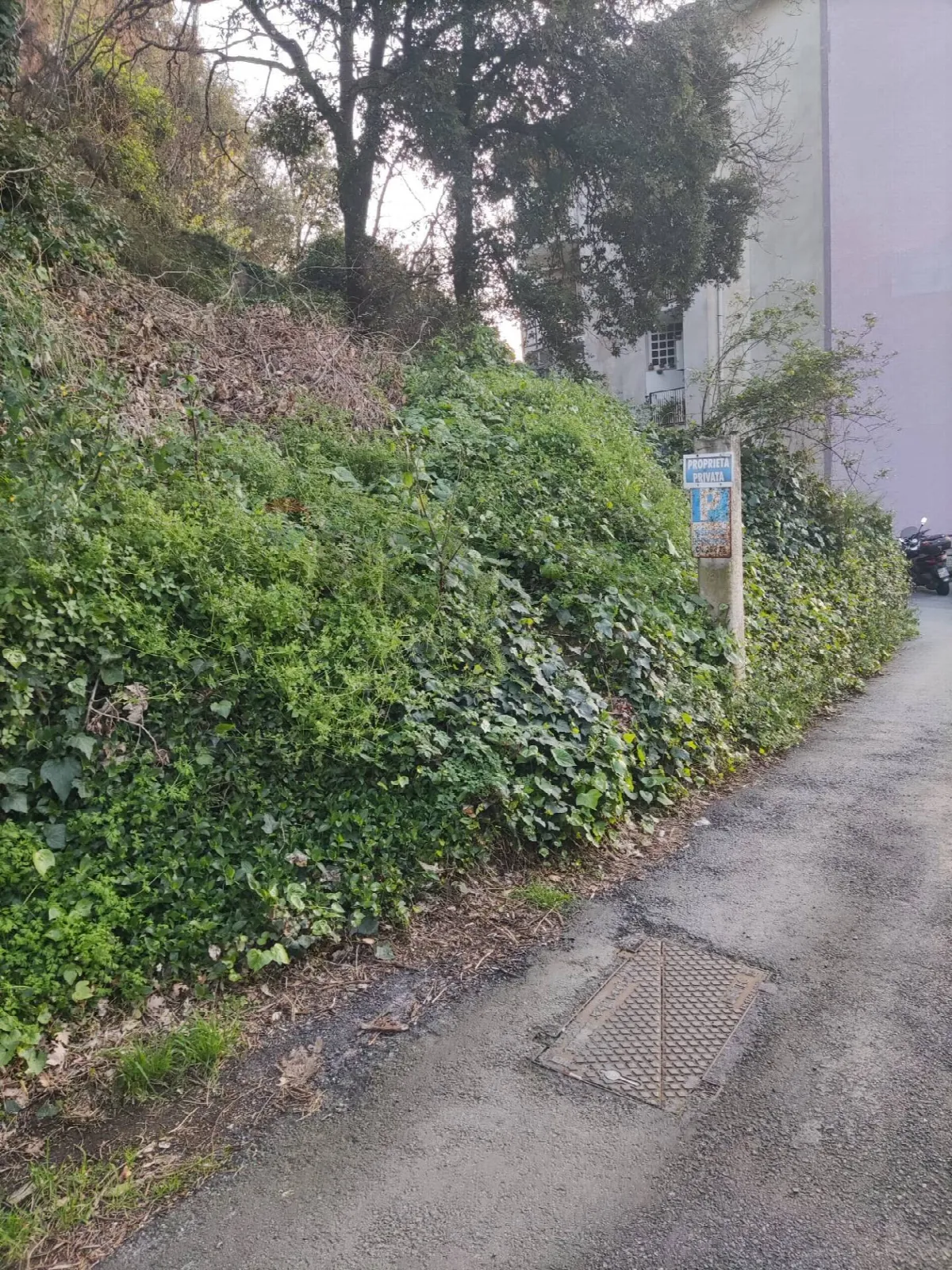 Altro in vendita a Savona, Villetta - foto 3