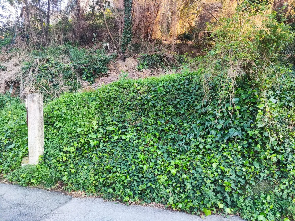 Altro in vendita a Savona, Villetta - foto 4