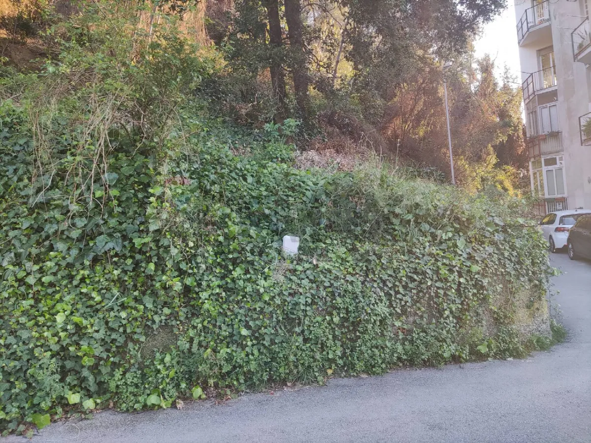 Altro in vendita a Savona, Villetta - foto 5