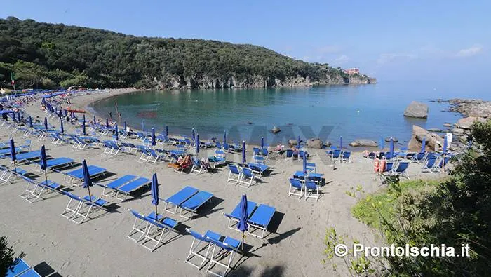 Appartamento in vendita a Ischia, Lacco Ameno - foto 2