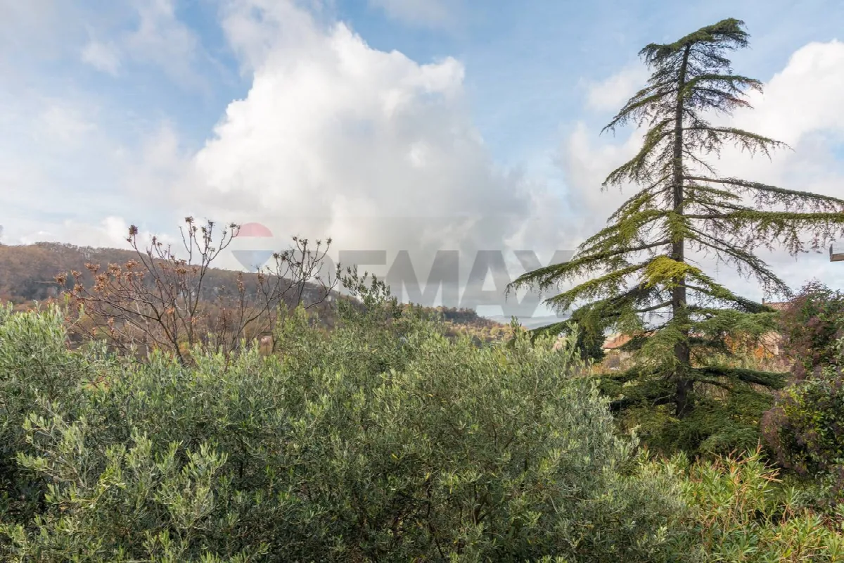 Altro in vendita a Semproniano - foto 6