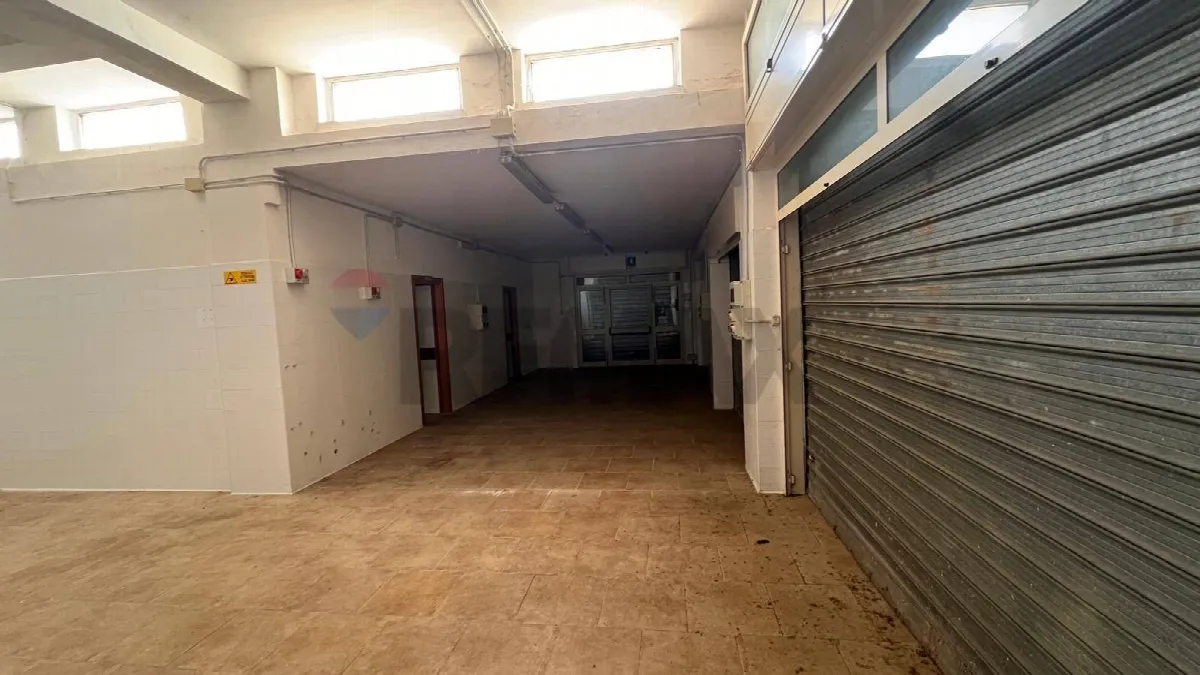 Altro in vendita a Peschici - foto 4