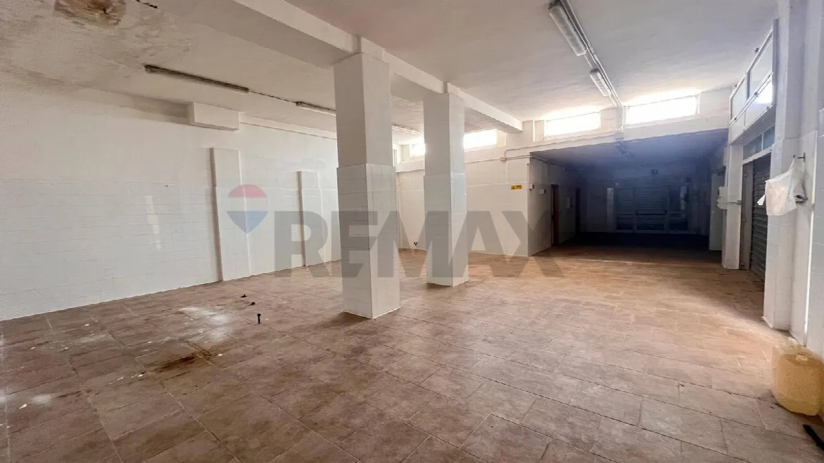 Altro in vendita a Peschici - foto 6