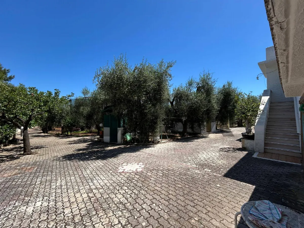 Appartamento in vendita a Vieste, Periferia - foto 6