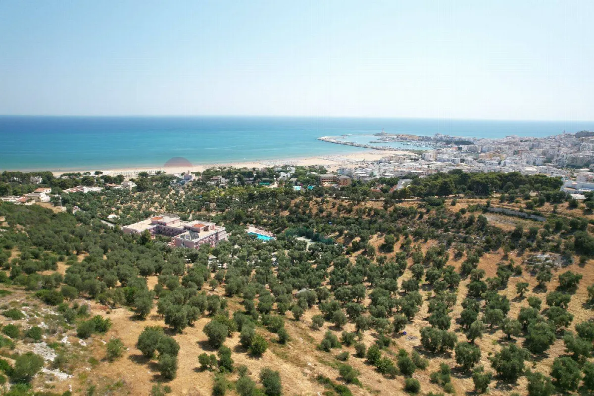 Appartamento in vendita a Vieste - foto 2