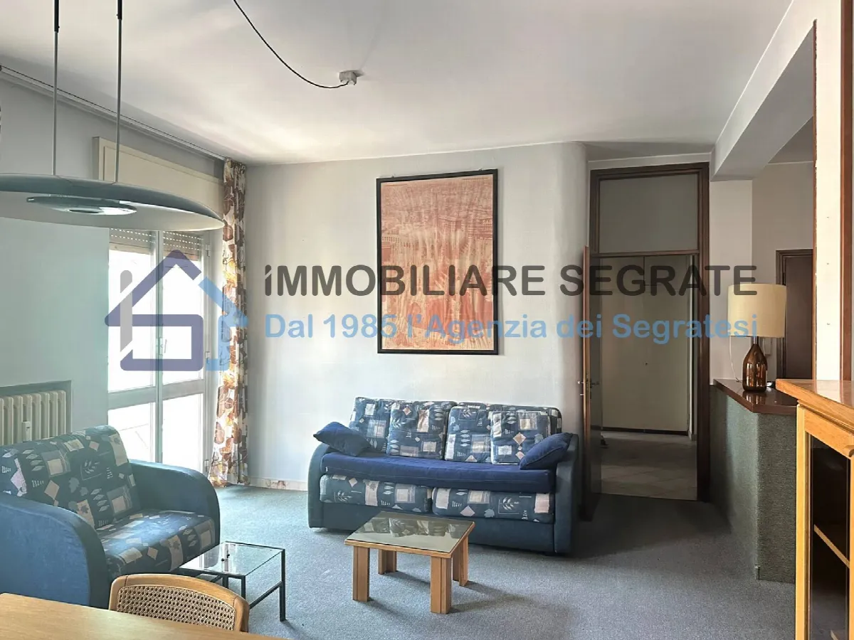 3 Locali in vendita a Segrate, Rovagnasco - foto 7