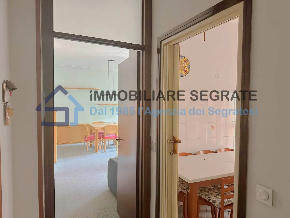 3 Locali in vendita a Segrate, Rovagnasco - foto 9