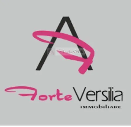 appartamento in vendita a Viareggio, Torre del Lago Puccini - foto 7
