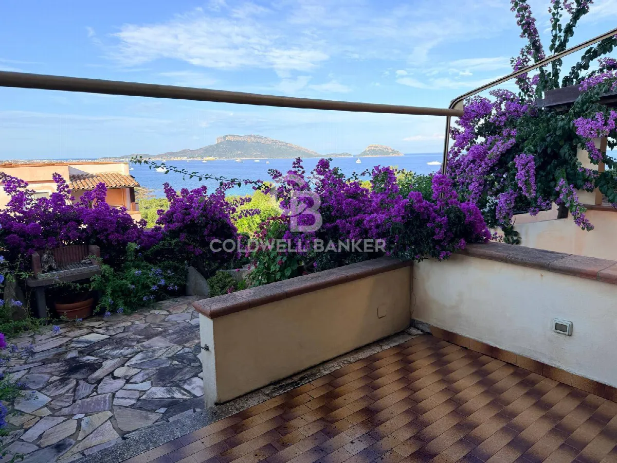 3 locali in vendita a Golfo Aranci, Terrata - foto 2