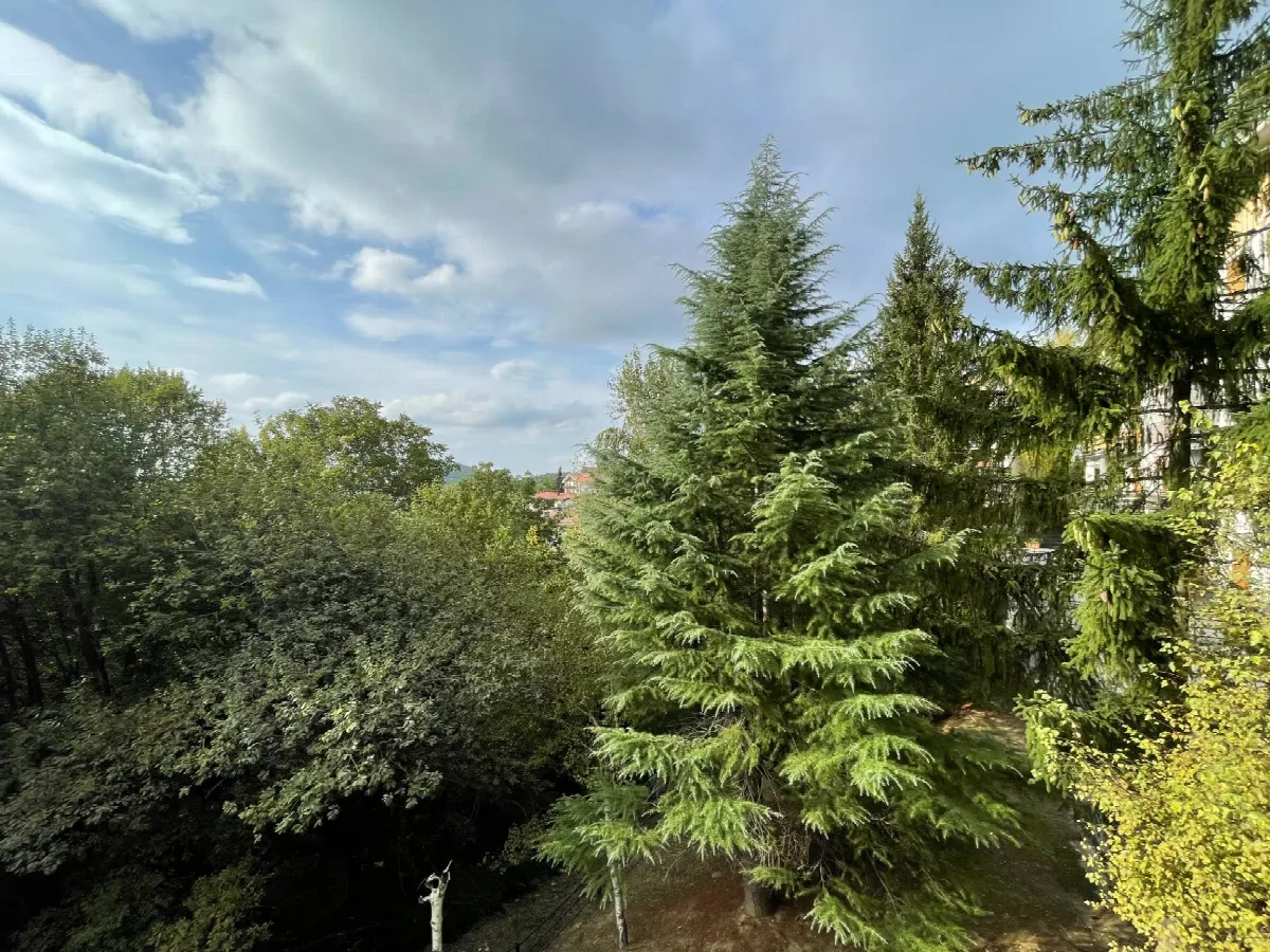 Appartamento in vendita a Roburent, San Giacomo - foto 9