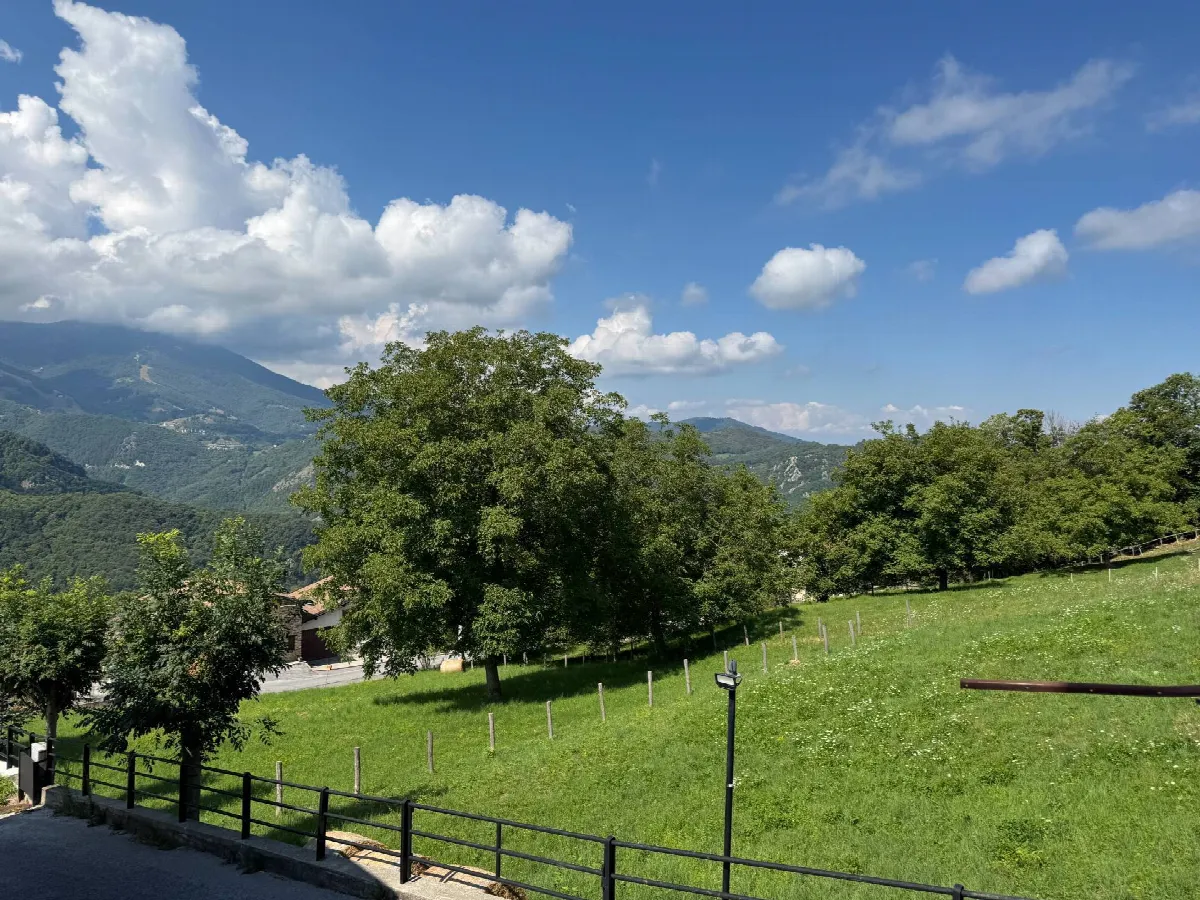 Appartamento in vendita a Roburent, San Giacomo - foto 8
