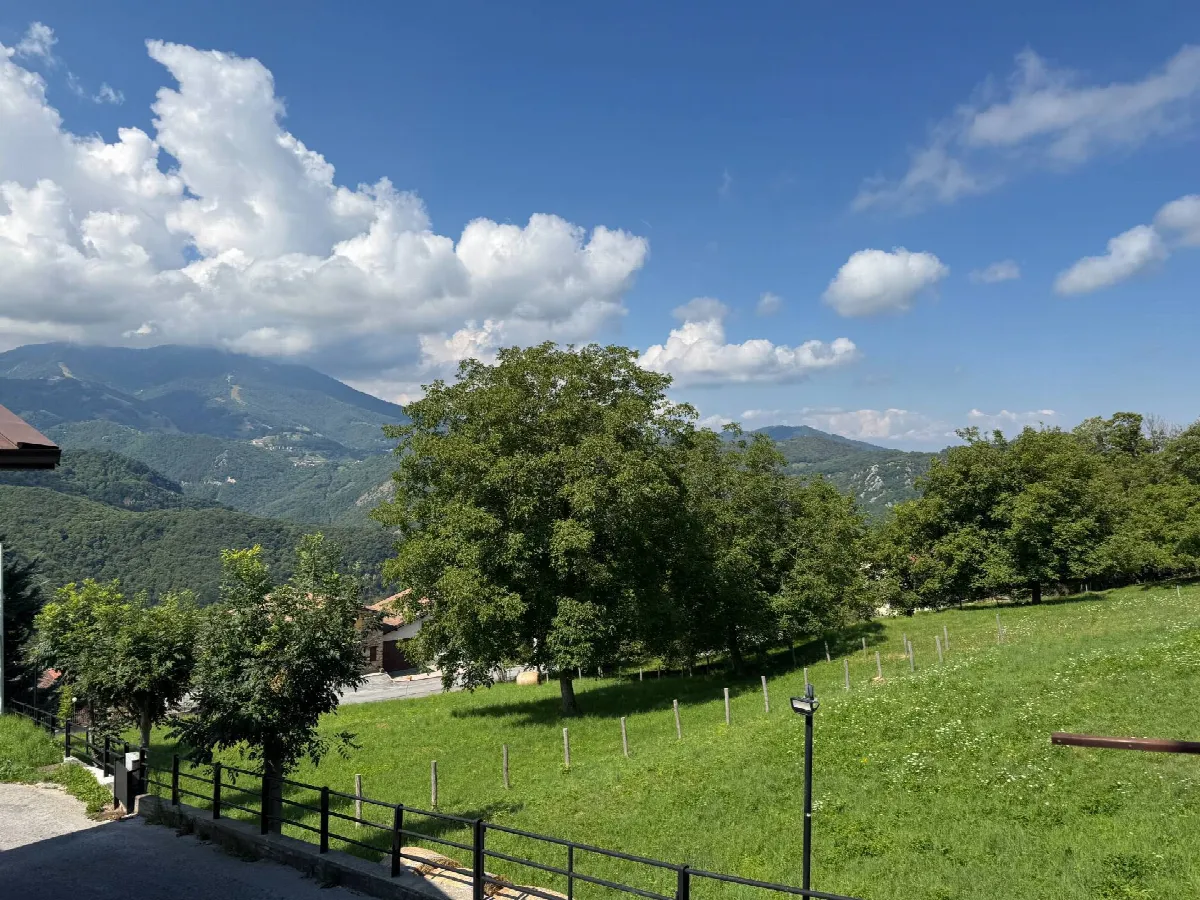Appartamento in vendita a Roburent, San Giacomo - foto 9