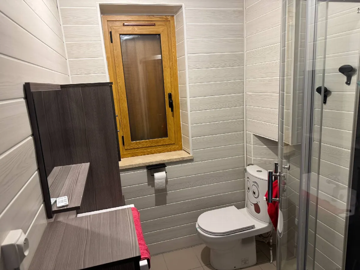 Appartamento in vendita a Roburent, San Giacomo - foto 10