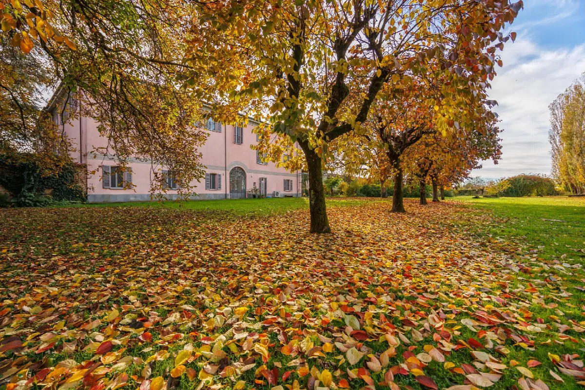 Appartamento in vendita a Alessandria, Cascinagrossa - foto 5