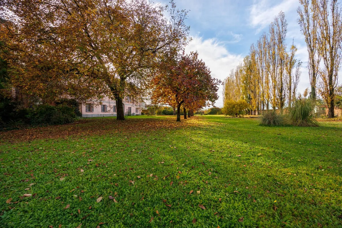 Appartamento in vendita a Alessandria, Cascinagrossa - foto 5