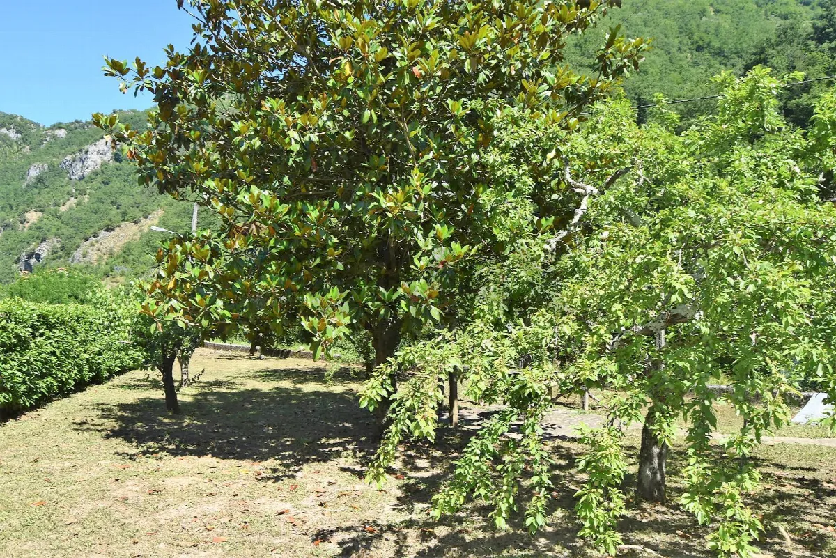 Appartamento in vendita a Bagni di Lucca, Limano - foto 7