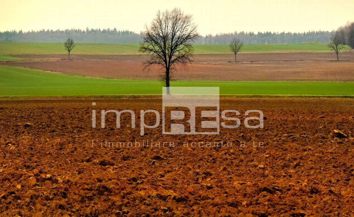 Appartamento in vendita a Castelcucco - foto 10