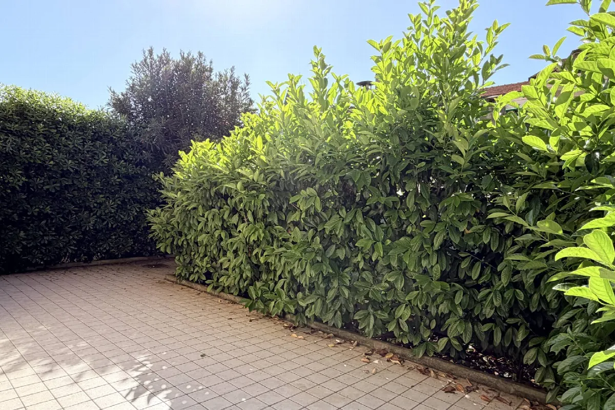 Appartamento in vendita a Pesaro, Mare - foto 8
