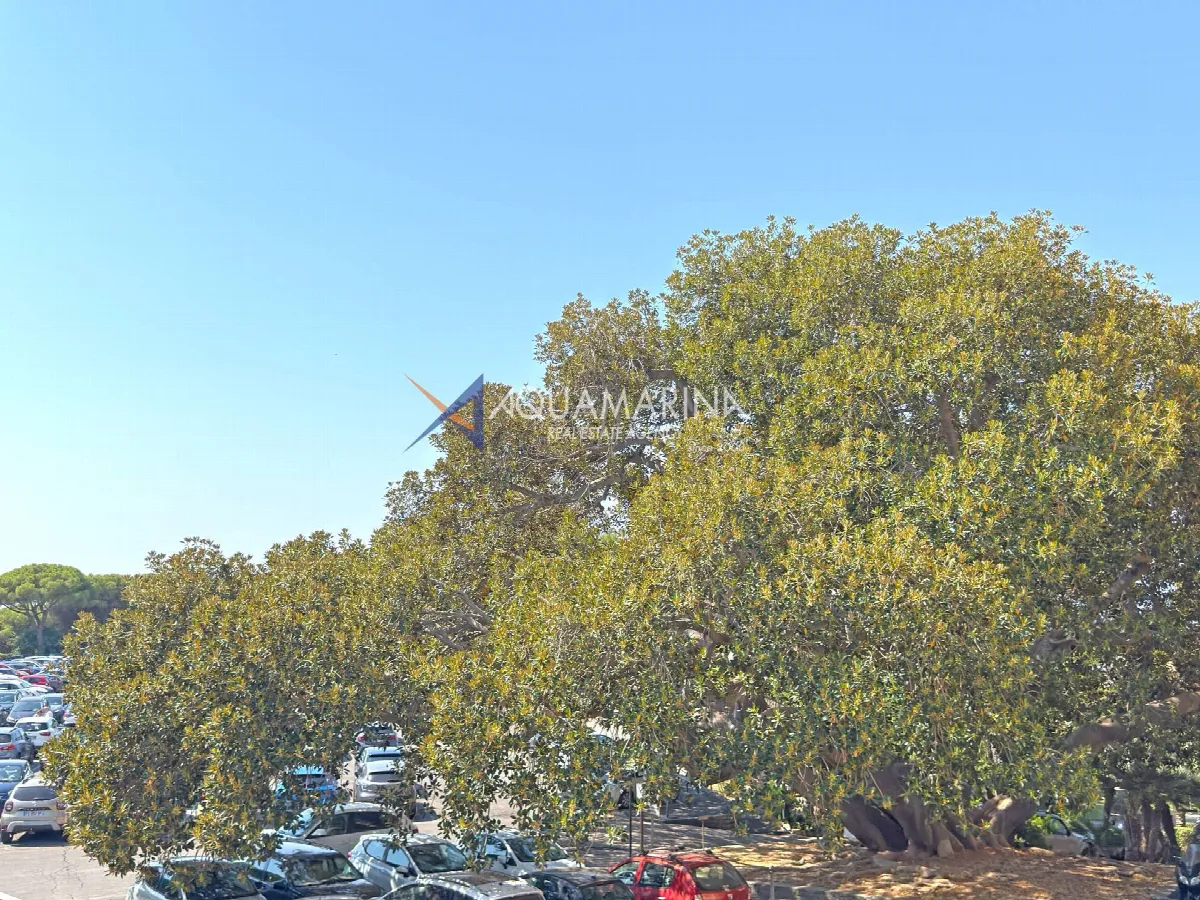 Appartamento in vendita a Bordighera - foto 4