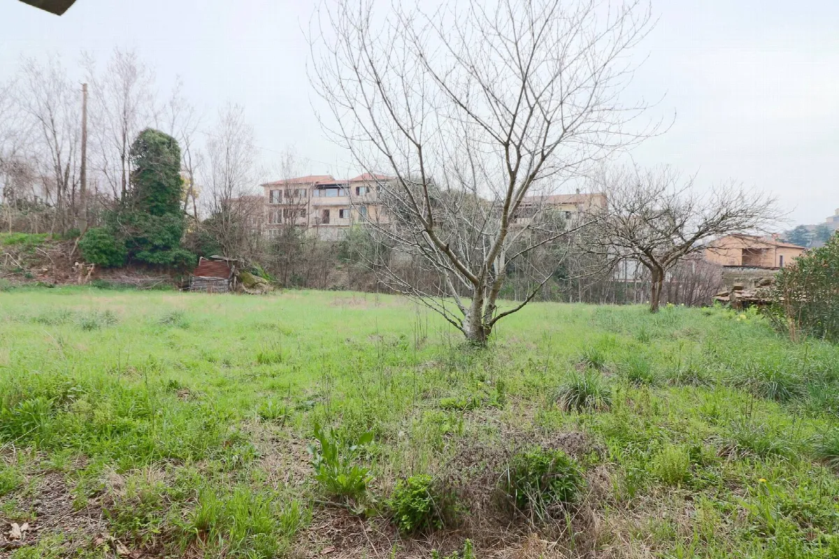 Appartamento indipendente in vendita a Vetralla - foto 4