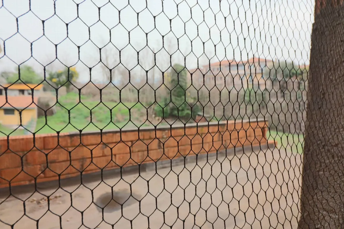 Appartamento indipendente in vendita a Vetralla - foto 8