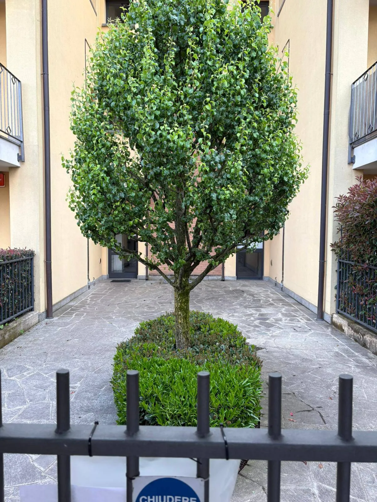 Appartamento in vendita a Cornate d'Adda, Residenziale - foto 4