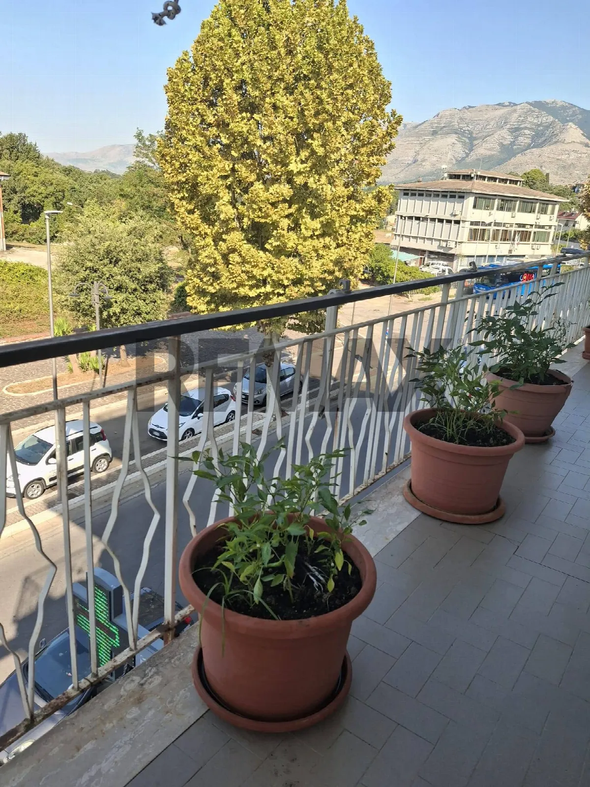 Appartamento in vendita a Minturno - foto 5