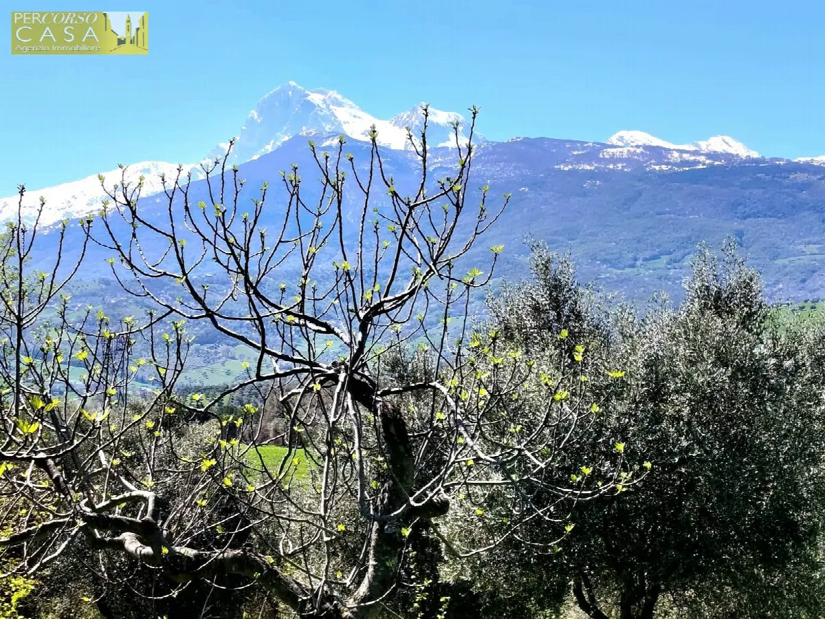 Appartamento Indipendente in vendita a Montorio al Vomano, Collevecchio - foto 9