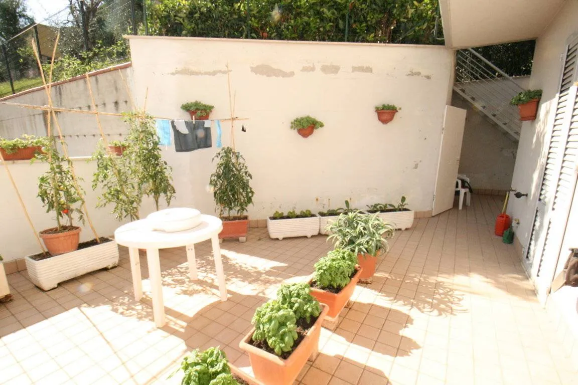 Appartamento in vendita a Montefiore dell'Aso - foto 10