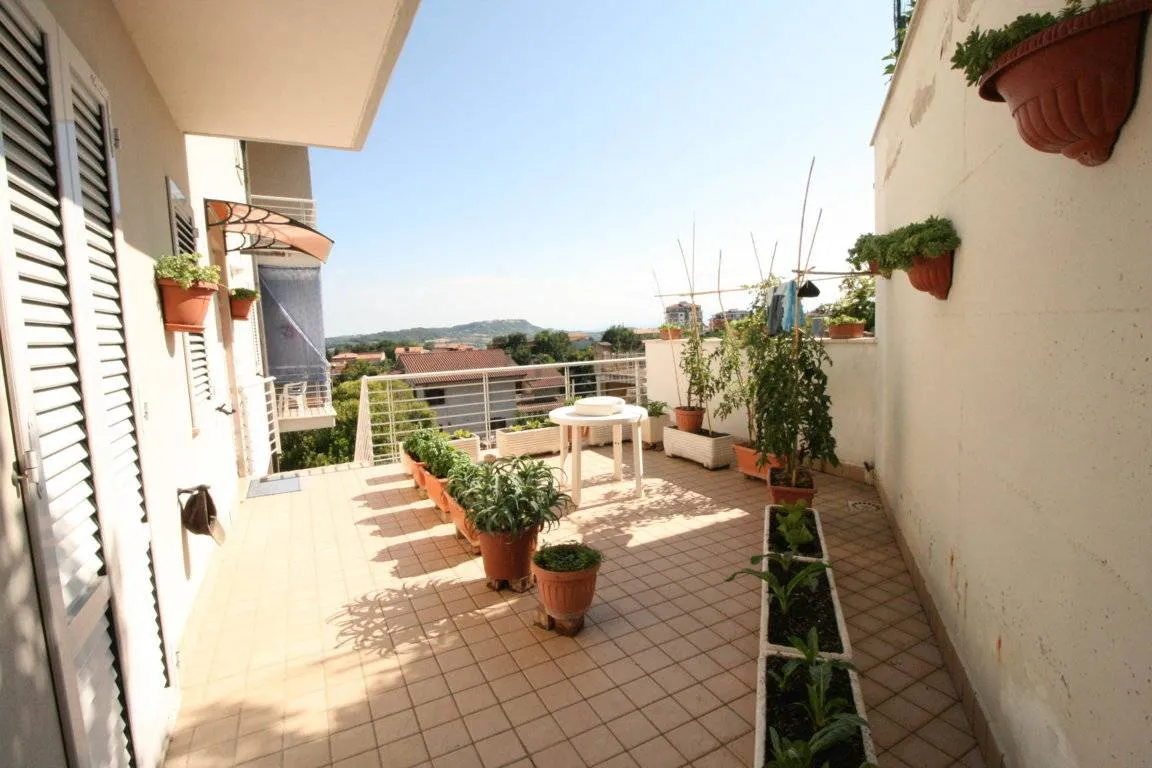 Appartamento in vendita a Montefiore dell'Aso - foto 9