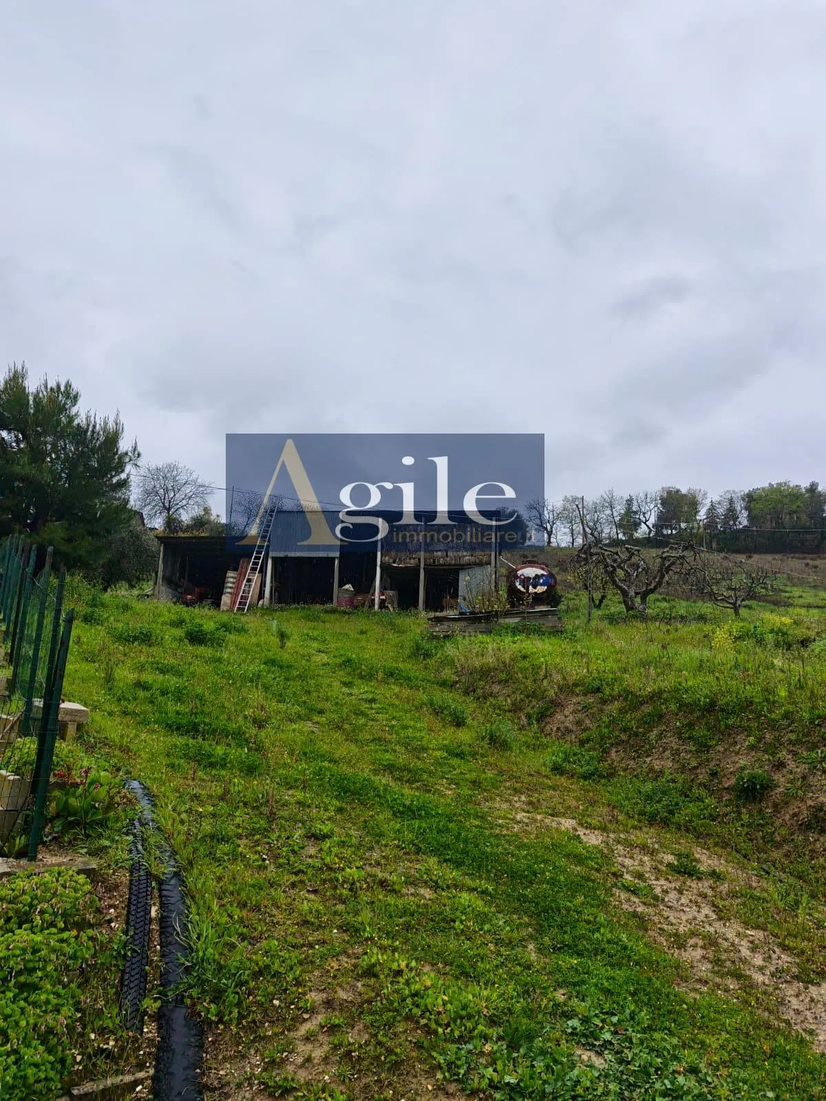 Appartamento in vendita a Offida - foto 8