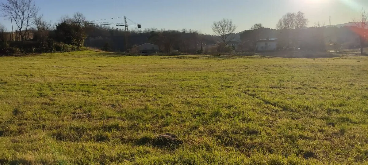 Appartamento in vendita a Fauglia, Fauglia - foto 2