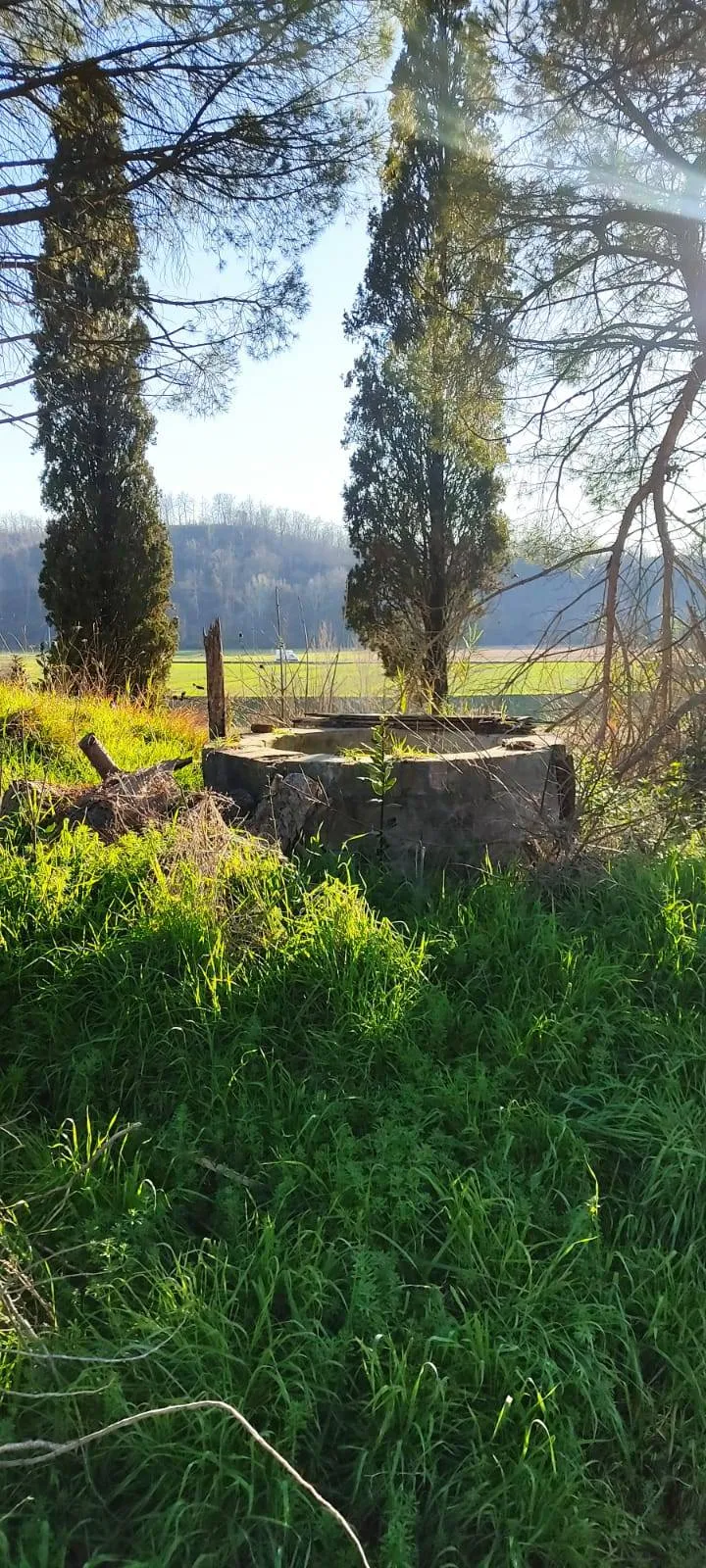 Appartamento in vendita a Fauglia, Fauglia - foto 3