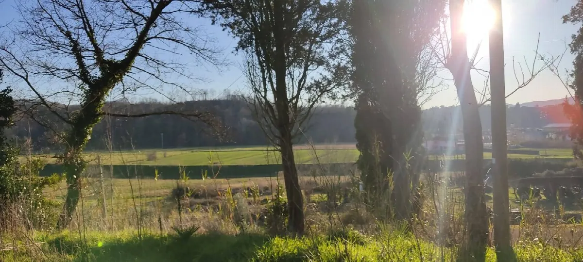 Appartamento in vendita a Fauglia, Fauglia - foto 5