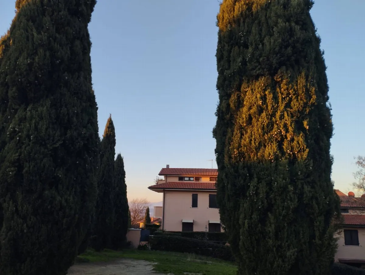 Appartamento in vendita a Montopoli in Val d'Arno, Marti - foto 2