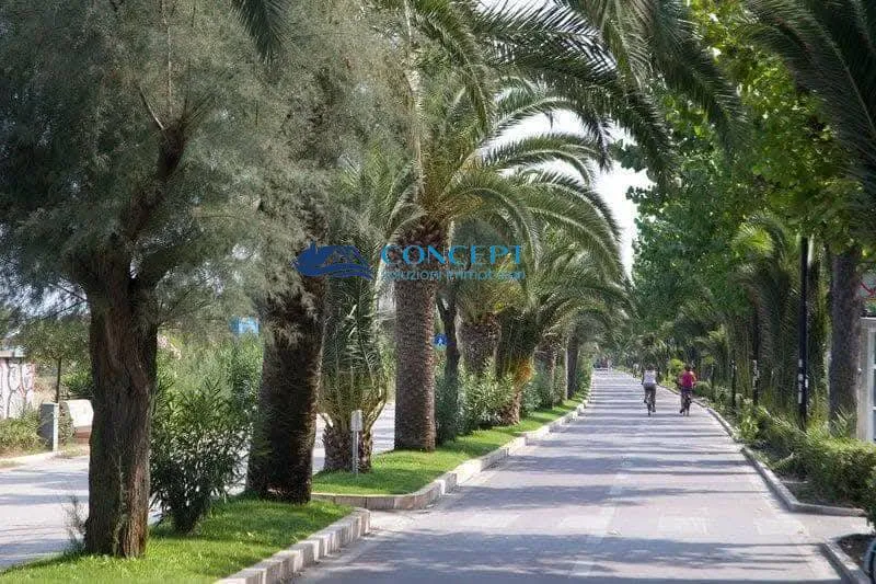 Appartamento in vendita a Alba Adriatica - foto 4